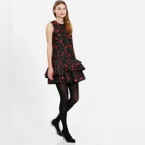 Banana Republic Drop Waist Mini Dress